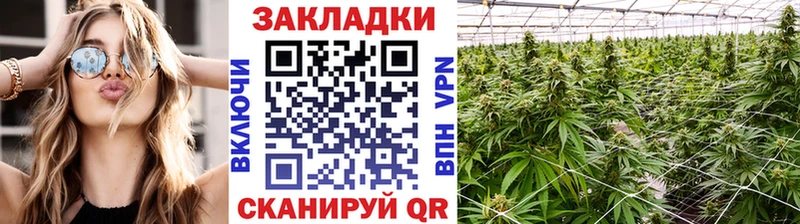  Cocaine Миасс