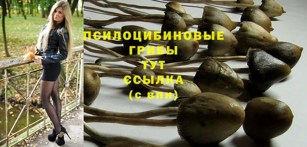 герыч Аркадак